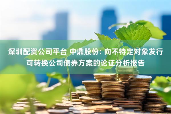 深圳配资公司平台 中鼎股份: 向不特定对象发行可转换公司债券方案的论证分析报告