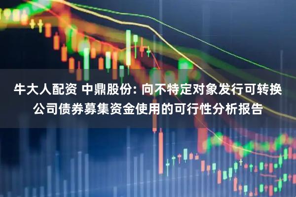 牛大人配资 中鼎股份: 向不特定对象发行可转换公司债券募集资金使用的可行性分析报告