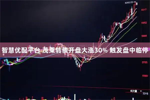 智慧优配平台 茂莱转债开盘大涨30% 触发盘中临停