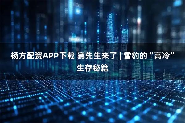 杨方配资APP下载 赛先生来了 | 雪豹的“高冷”生存秘籍